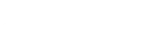 PLN — Professional Local Networking